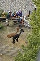altenburg-trachtenfest-02-06-2012 (51)